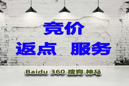 SEM托管服务，成功案例深度分析